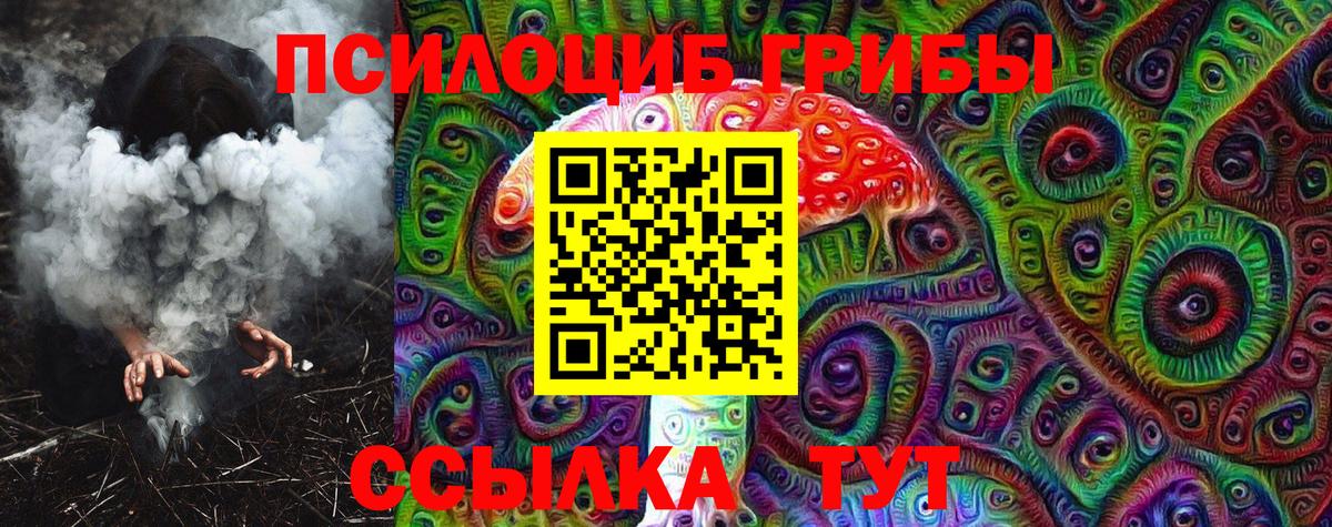 Нерюнгри  Псилоцибиновые грибы Psilocybine cubensis  Вход с VPN  Галлюциногенные грибы мицелий 